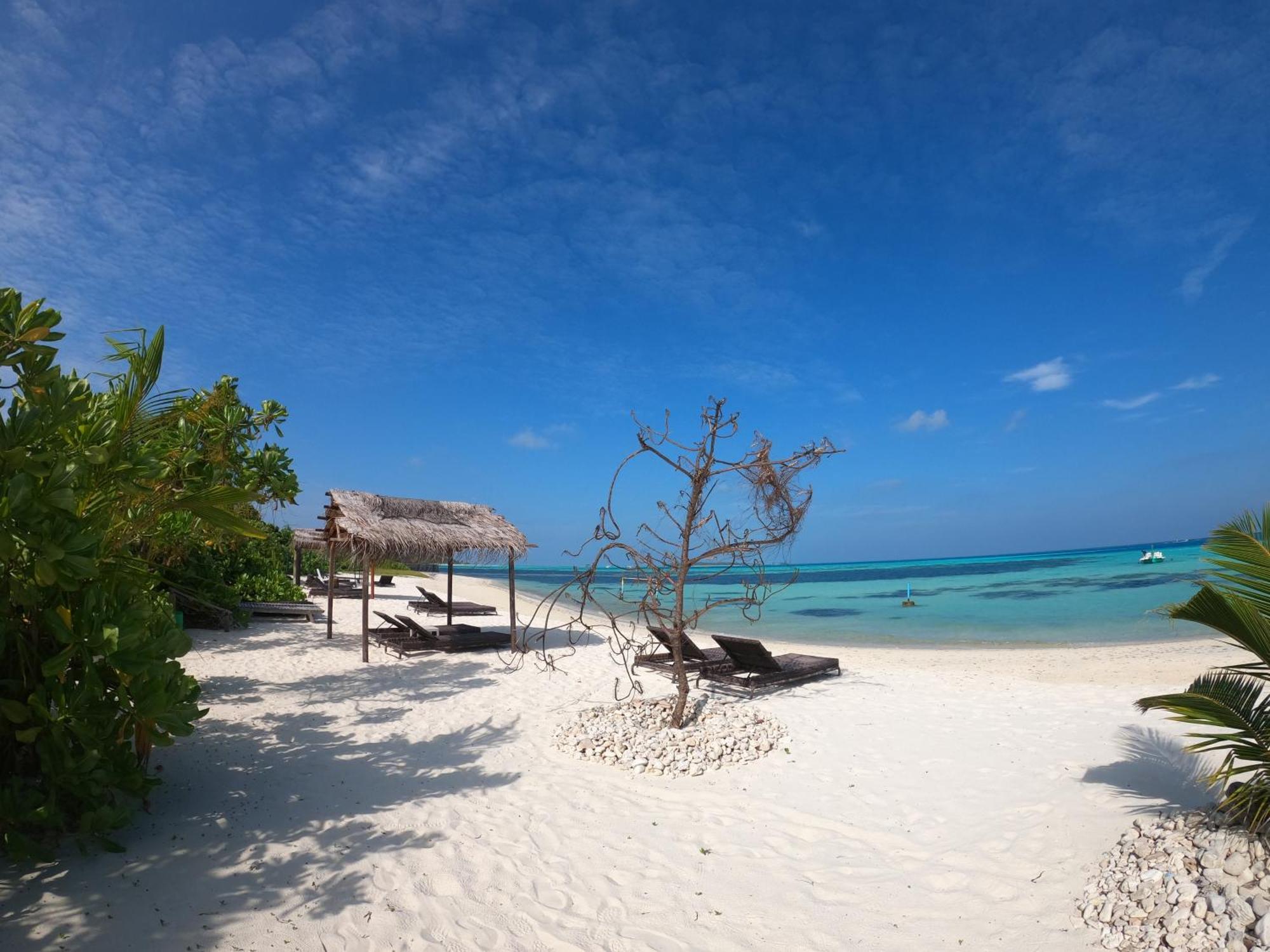 Shamar Guesthouse & Dive Maamigili Exterior foto
